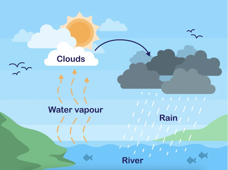 The Water Cycle